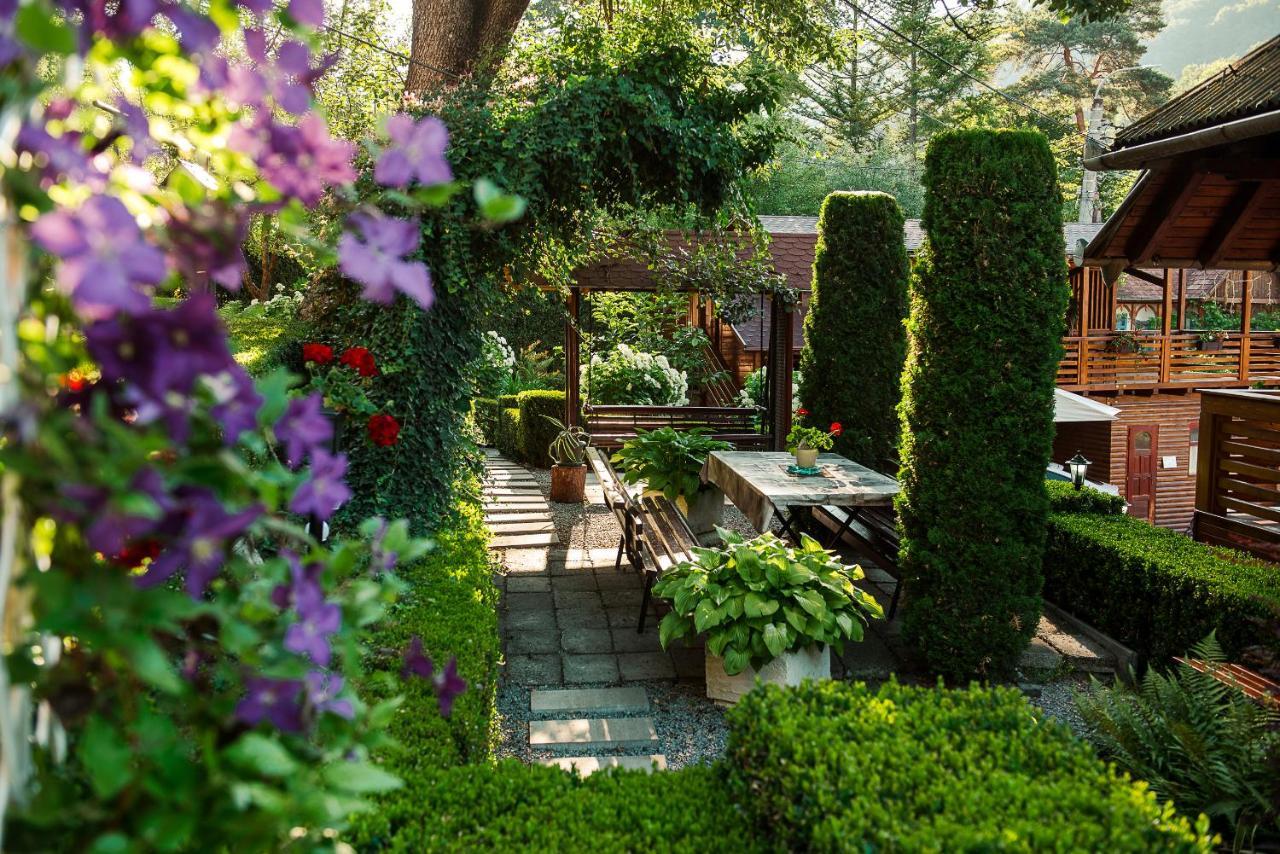 Hotel Casa Edy Sovata Zewnętrze zdjęcie