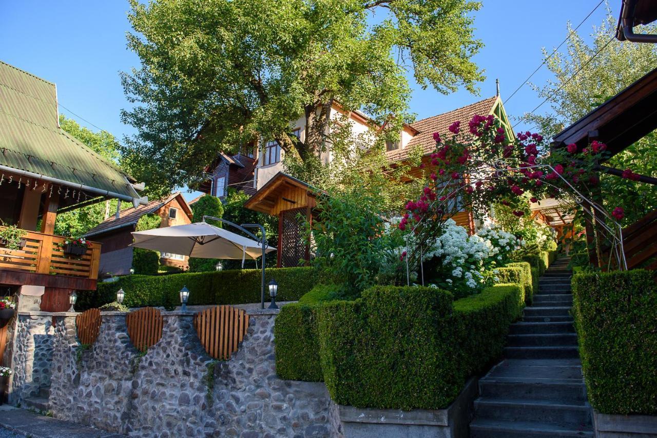 Hotel Casa Edy Sovata Zewnętrze zdjęcie