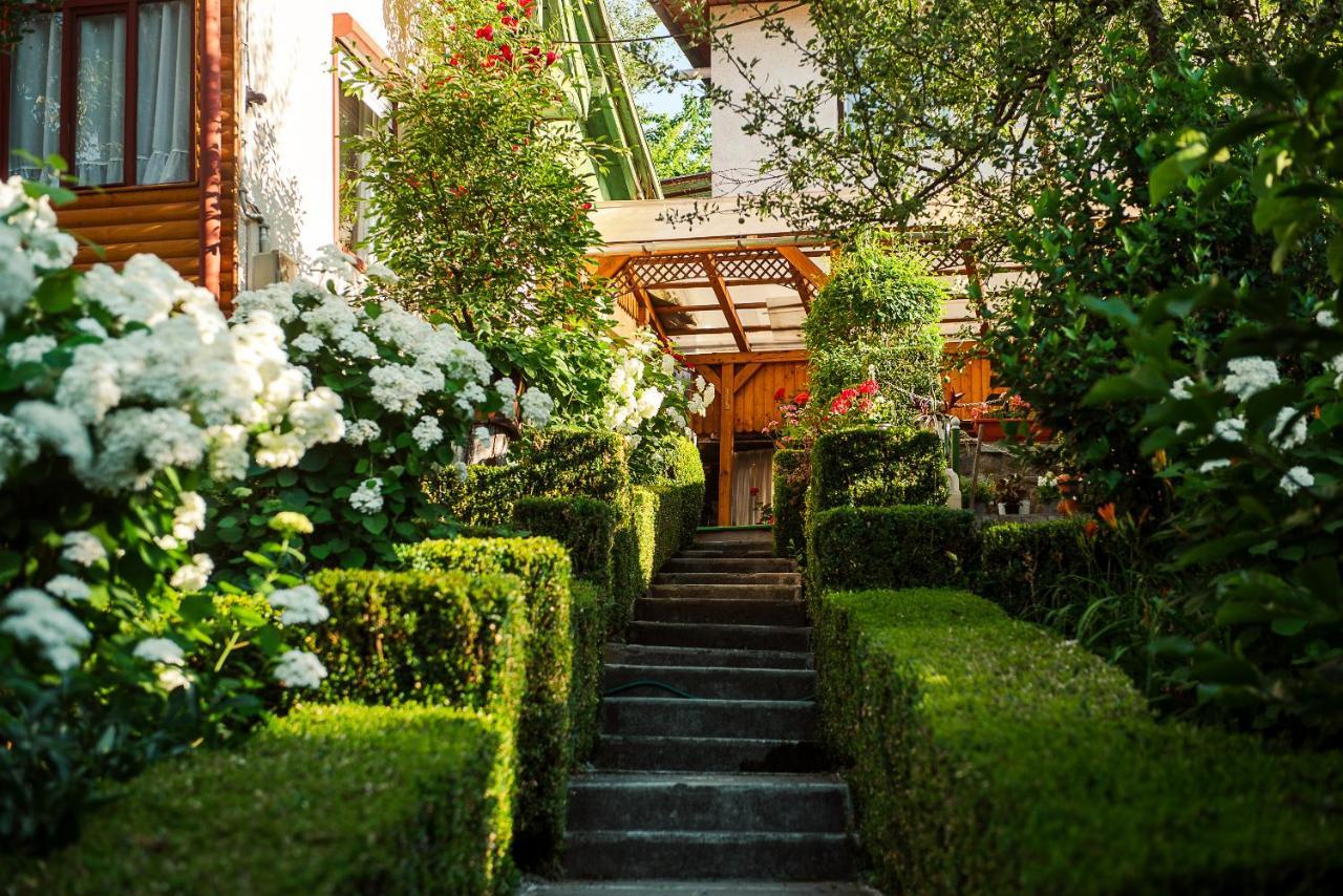 Hotel Casa Edy Sovata Zewnętrze zdjęcie